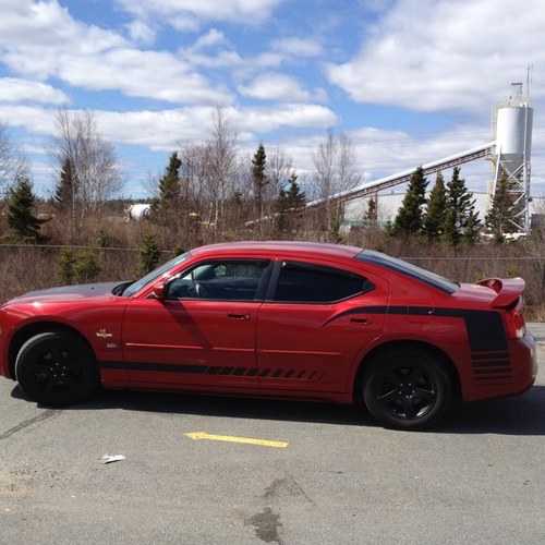 NicoleMauger's profile picture. 