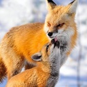 Deborah Hamm - @D_N_Hamm - Twitter