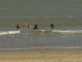 simonsonero's profile picture. Cantante soldador un democrata que no pierde la esperanza de ver a mi pais libre de odios donde no haiga mesquindad