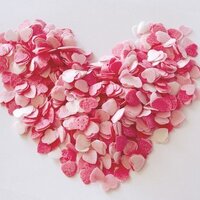 C♥ (@littlev125) 's Twitter Profile