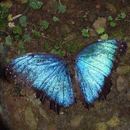 Mrs_James_Class's profile picture. An enthusiastic group of Grade One learners in Chestermere, Alberta looking to connect with others.