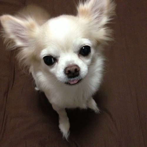 Öpi♡さや姉