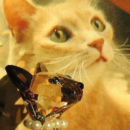 bizzicat's profile picture. Emigrated in spirit with Maryanne to USA. Blind & struggling with cancer, Bizzy passed OTRB at age 14, deeply loved. I follow/RT great tweeters & their tweets!