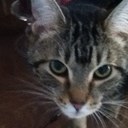 jacey rae carlson - @JaceyraeRae - Twitter