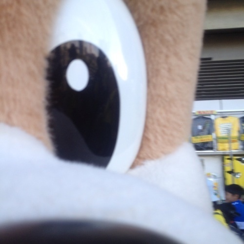 deadendsky's profile picture. サッカー(ジェフユナイテッド市原千葉)/本/world's end girlfriend/VirginBabylonRecords/朝霧JAM/アイドル/メガネ/天満/川西能勢口/沖縄/宮古島/孫/酒/KSDD/❤️‍🔥💎/Bリーグ(千葉ジェッツ)/マスコットとゆるキャラが全般好きです