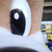 あきっゅき (@deadendsky) 's Twitter Profile Photo あきっゅき (@deadendsky) 's Twitter Profile Photo
