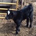 Iowa_Farmer16 (@iowa_farmer16) Twitter profile photo Iowa_Farmer16 (@iowa_farmer16) Twitter profile photo