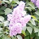 Lisa Carpenter - @lcsuperstar - Twitter