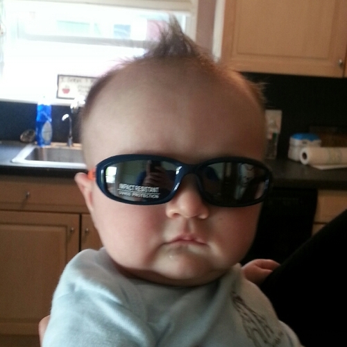 SteveO446's profile picture. 