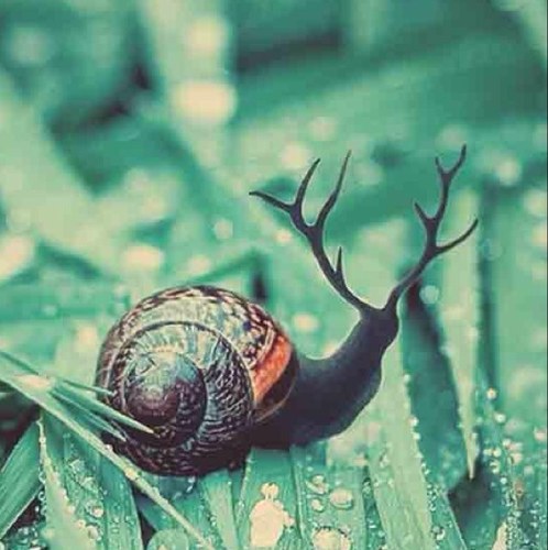 Nightmares make me re-think life.