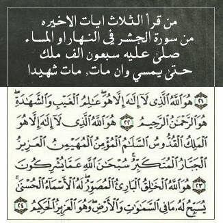 m4_noura Profile Picture