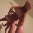 Sophie Anne Walton - @SophsaysMEOW - Twitter