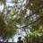 lauracox_cgs's profile image