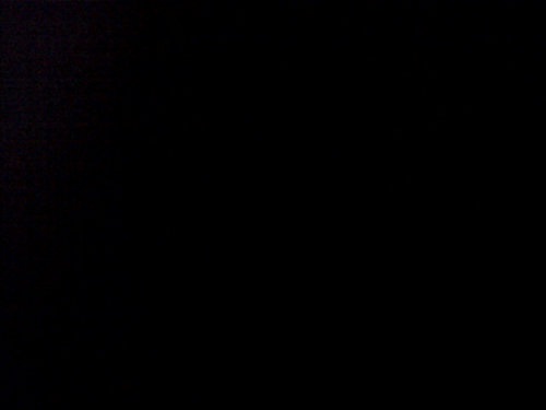 Laura_Arregui's profile picture. 