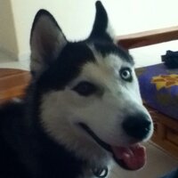 Jack Ruben (@rubjack140) 's Twitter Profile