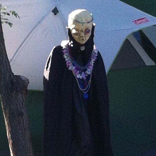 LeetusWilmer's profile picture. 