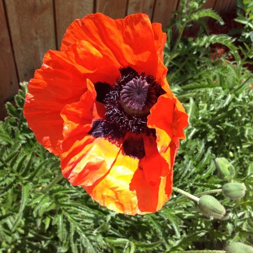 tweetsbythisgal's profile picture. 