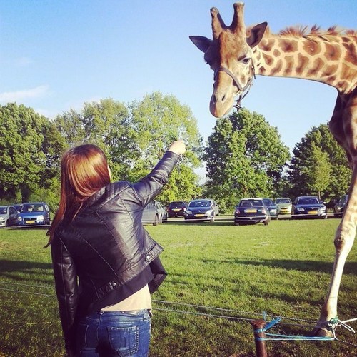 _brittk's profile picture. ♥ Niek