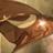 sosyalasosyal's profile image