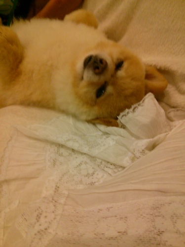 mochizuki667667's profile picture. お正月したい