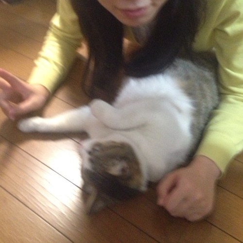 ウォーアイニー