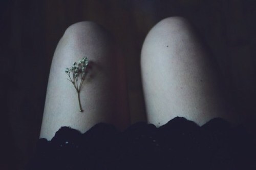 a neurotic wallflower