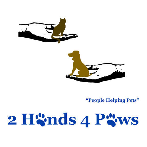 2Hands4Paws's profile picture. RI 501(c)(3) nonprofit pet assistance organization helping pet families through short-term situations.