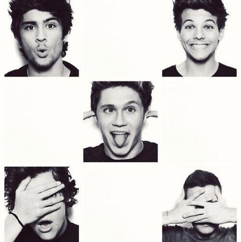 Im just a regualr irish mexican chick i tweet about #directionerproblems bc there are many out there and you should know em