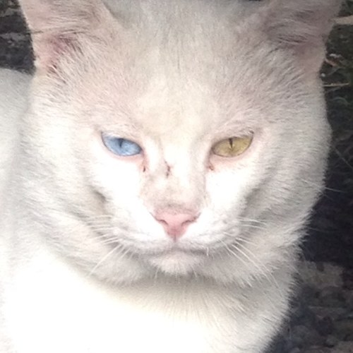 hibana001's profile picture. 猿民 ナポ男 塩生ドグ生ネーム有 カメイド関連 2br FA観賞用垢 色々無言すみません 芸人ラジオ、漫画アニメ等々 フォロー非推奨 スッゴイ腐 成人済 最近はBL情報収集垢　地雷ほぼ無し雑食です