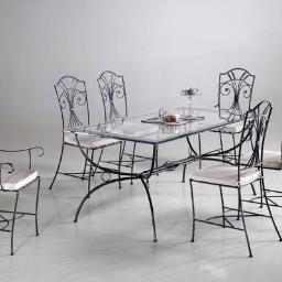 Utilisé comme structure d’un meuble, le fer forgé se distingue par sa légèreté. Il contribue également à l’esthétique du mobilier grâce à sa souplesse...