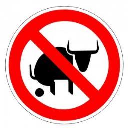 The only life coach you'll ever not really need. Tweet us your bullshitty and/or non-bullshitty findings. #BULLSHIT/#NoBullshit #BS/#NoBS