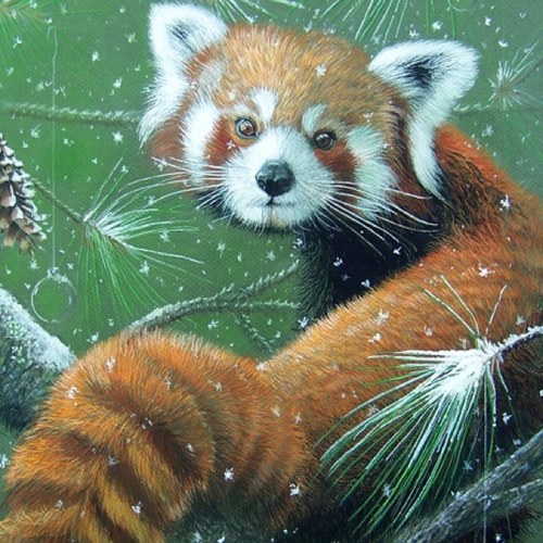 FedoraChef's profile picture. 