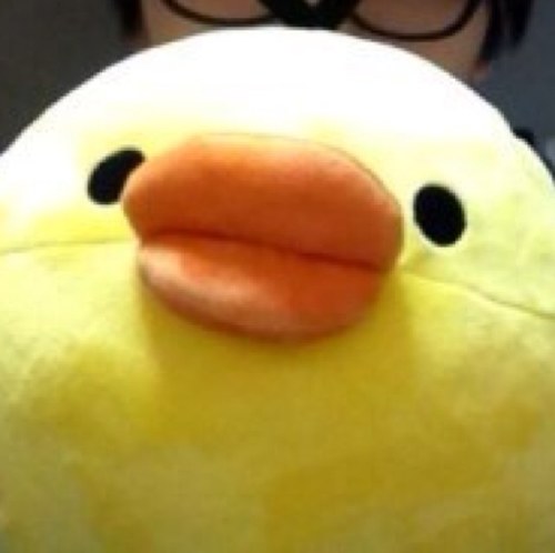 오리! 하늘을 날자!