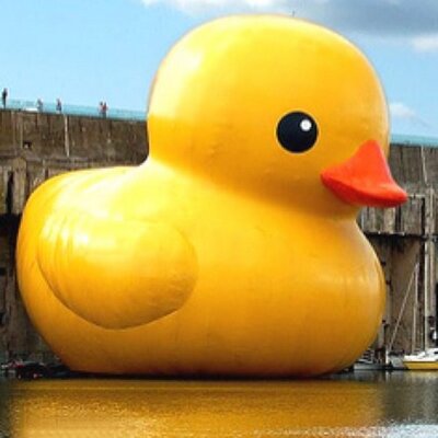 patriots rubber duck