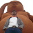 venkatvundyala's profile image
