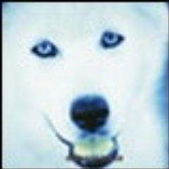 CharbietheBarbi's profile picture. Farmer by day, socialite by night