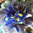 Tracy  blain - @tracy_blain - Twitter