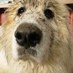 Doug Hughes (@dhughes61) Twitter profile photo