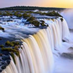 l83267664's profile picture. 