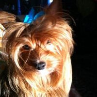 colmant_ (@colmant_) 's Twitter Profile