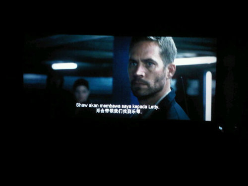 CamellaSuria's profile picture. 