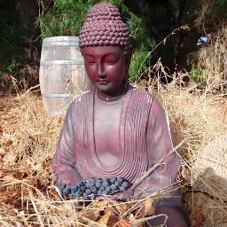 CloudburstWine's profile picture. Wines with Life Force.