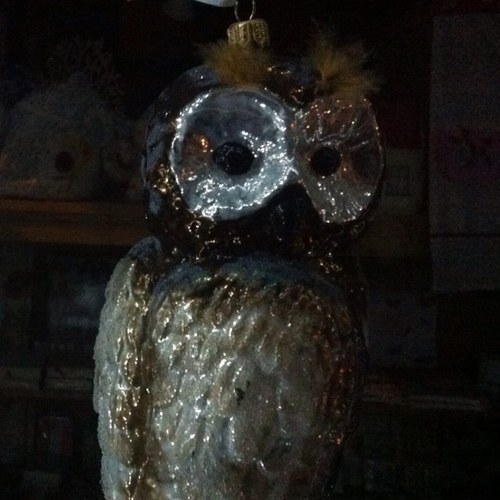 dxchapman's profile picture. 