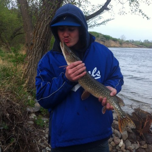 Ozfest08's profile picture. 