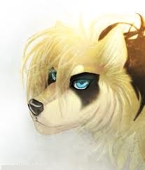 WatahaMroku's profile picture. Konto założone dla Watahy Wilków Mrocznej Nocy. http://t.co/XE96et4h6T