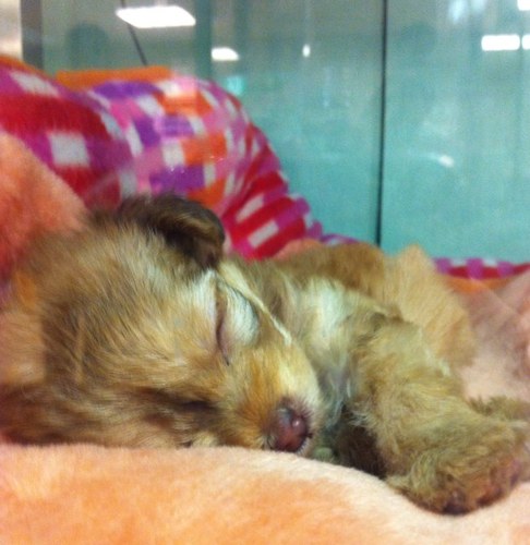 MREEmi's profile picture. 小さな出版社で営業をしています