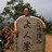 phil8709's profile image