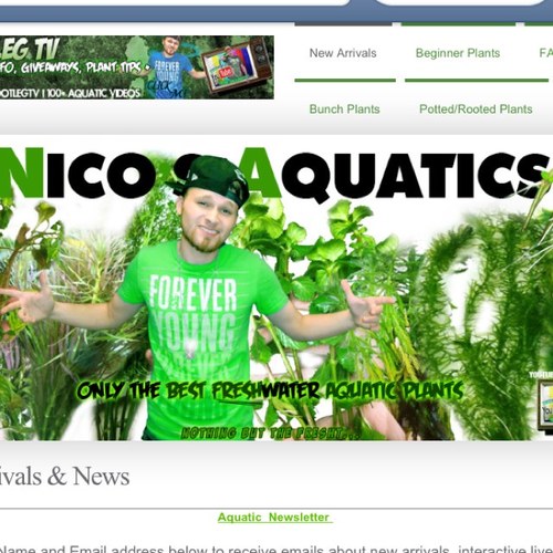 NicosAquatics's profile picture. Freshwater aquarium advice and tips for keeping the best and most beautiful fish tank! | Admin @DjBootleg813