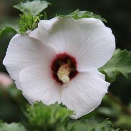 TeresaPreboy's profile picture. 