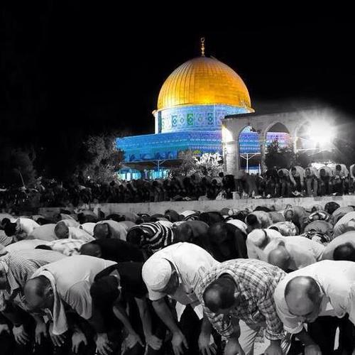Informasi terkini dunia Islam